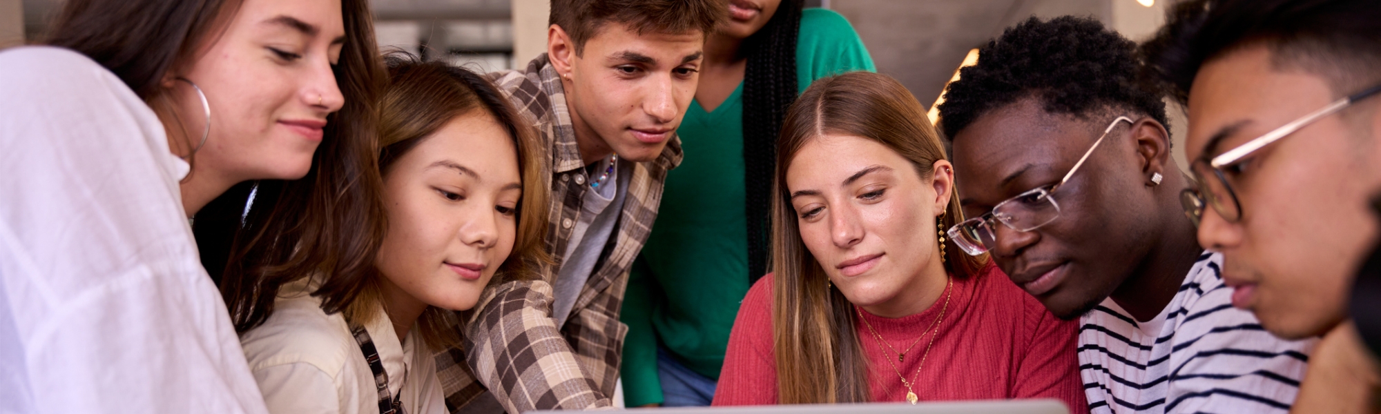 Seven multilingual college students engaged in a group project